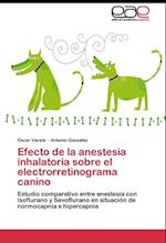 Efecto de la anestesia inhalatoria sobre el electrorretinograma canino