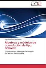 Álgebras y módulos de convolución de tipo Sobolev