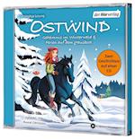 Ostwind. Geheimnis im Winterwald & Ferien auf dem Hausboot