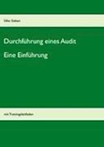 Durchführung eines Audits: Eine Einführung