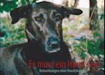 Es muss ein Hund sein