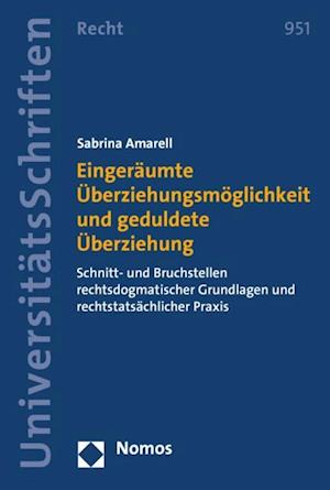 Eingeräumte Überziehungsmöglichkeit und geduldete Überziehung