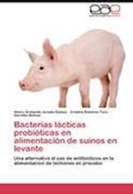 Bacterias lácticas probióticas en alimentación de suinos en levante