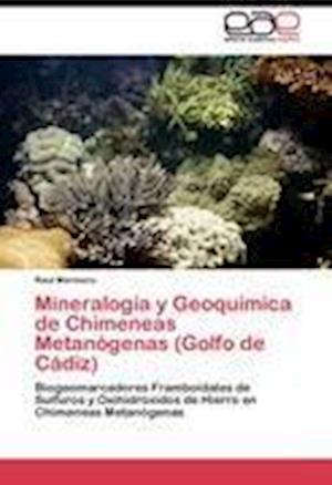 Mineralogía y Geoquímica de Chimeneas Metanógenas (Golfo de Cádiz)