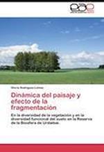 Dinámica del paisaje y efecto de la fragmentación