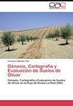 Génesis, Cartografía y Evaluación de Suelos de Olivar