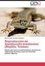 Reproducción de Aspidoscelis lineatissima (Reptilia: Teiidae)