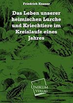 Das Leben unserer heimischen Lurche und Kriechtiere im Kreislaufe eines Jahres