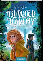 Ashwood Academy - Die Schule der fünf Türme (Ashwood Academy 1)