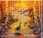 Was macht die kleine Gans im Herbst?