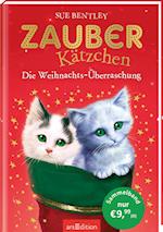 Zauberkätzchen - Die Weihnachts-Überraschung