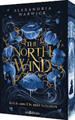 The North Wind - Reich aus Eis und Schatten (The Four Winds 1)