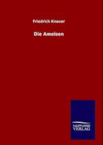 Die Ameisen