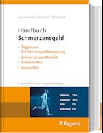 Handbuch Schmerzensgeld