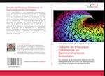 Estudio de Procesos Fotofísicos en Semiconductores Coloidales