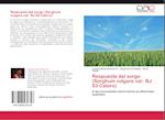 Respuesta del sorgo (Sorghum vulgare var. BJ 83 Caloro)