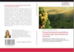 Caracterización genética y molecular de levaduras vínicas