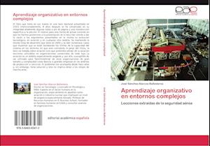 Aprendizaje organizativo en entornos complejos