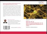 Efecto de la Electroestimulación en la Neurogénesis Entérica In Vitro