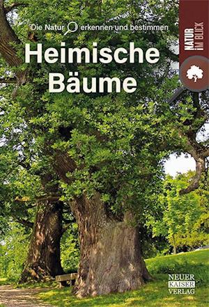 Bäume