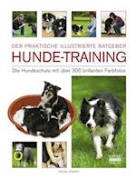 Hunde-Training