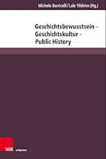 Geschichtsbewusstsein - Geschichtskultur - Public History