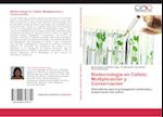 Biotecnología en Cafeto: Multiplicación y Conservación