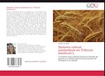 Sistema radical postantesis en Triticum aestivum L