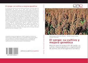 El sorgo: su cultivo y mejora genética