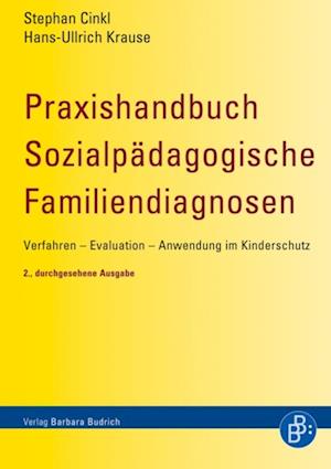 Praxishandbuch Sozialpädagogische Familiendiagnosen