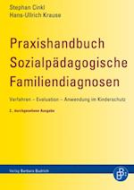 Praxishandbuch Sozialpädagogische Familiendiagnosen