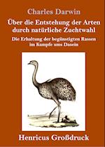 Über die Entstehung der Arten durch natürliche Zuchtwahl (Großdruck)