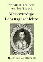 Merkwürdige Lebensgeschichte (Großdruck)