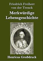 Merkwürdige Lebensgeschichte (Großdruck)