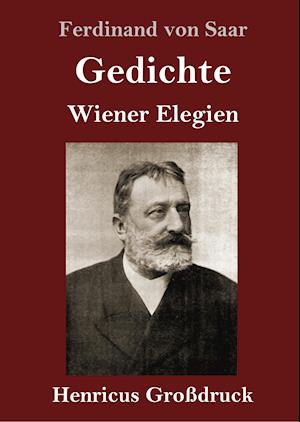 Gedichte / Wiener Elegien (Großdruck)