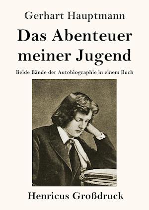 Das Abenteuer meiner Jugend (Großdruck)