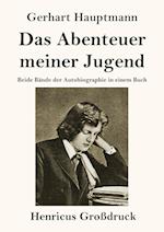 Das Abenteuer meiner Jugend (Großdruck)