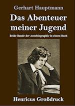 Das Abenteuer meiner Jugend (Großdruck)