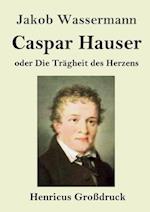 Caspar Hauser oder Die Trägheit des Herzens (Großdruck)