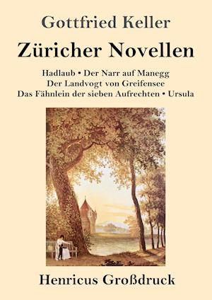 Züricher Novellen (Großdruck)