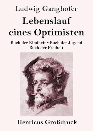 Lebenslauf eines Optimisten (Großdruck)