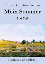 Mein Sommer 1805 (Großdruck)