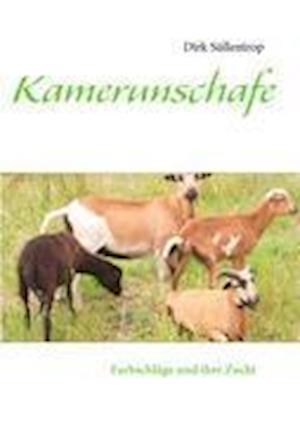 Kamerunschafe