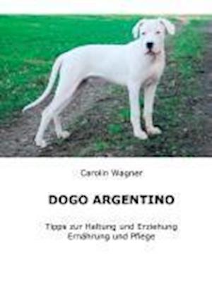 Dogo Argentino