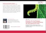Estudio de morfología, biología y comportamiento de Acordulecera spp.