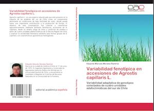 Variabilidad fenotípica en accesiones de Agrostis capillaris L.