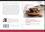 Éteres alquílicos derivados de polifenoles del olivo