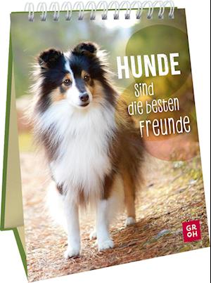 Hunde sind die besten Freunde