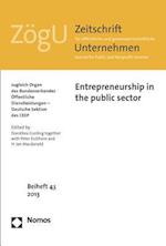 Entrepreneurship in the Public Sector