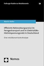 Effiziente Netznutzungspreise im Ferngastransport und im Elektrizitäts-Höchstspannungsnetz in Deutschland